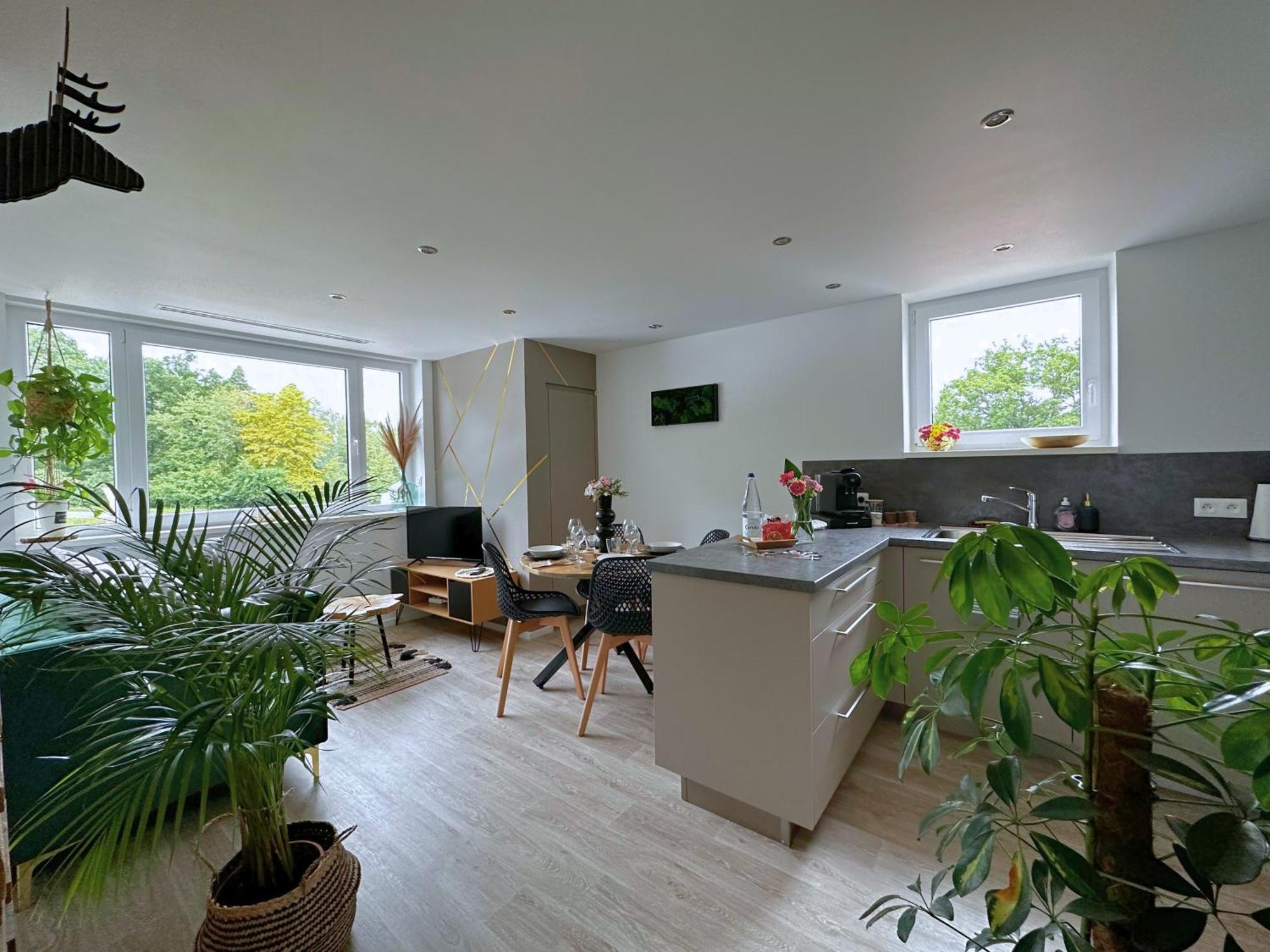 La Foret Enchantee - Cozy Immo Apartment Orschwiller